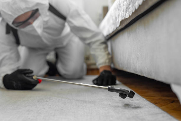 Professional Bed Bug Control technician working in Gresham, OR